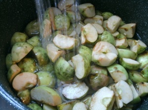 small quartered apples in stock pot with water