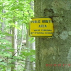 Hunting area sign grown into tree