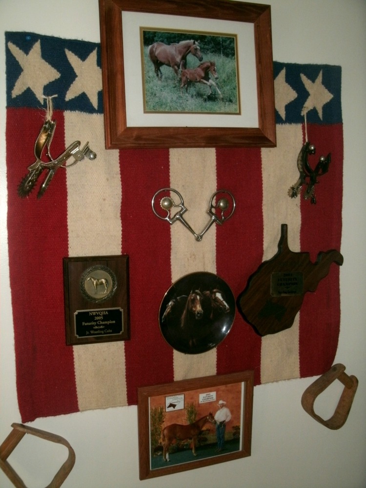 Horse decor with trophies and photos