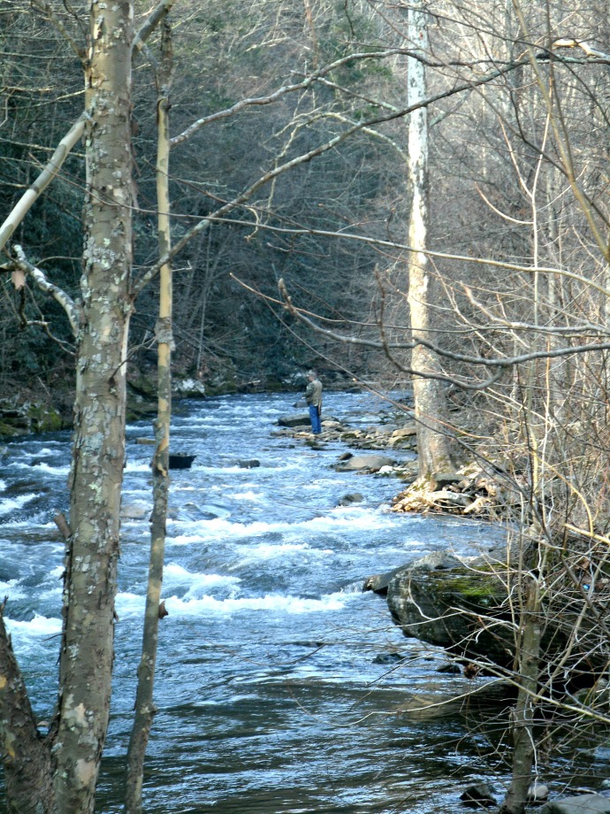 Tom fishing in a stream in Pendleton County West Virginia