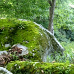 Moss covered stones along the river at Ten Mile WV